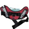 Arnés equipado para perro