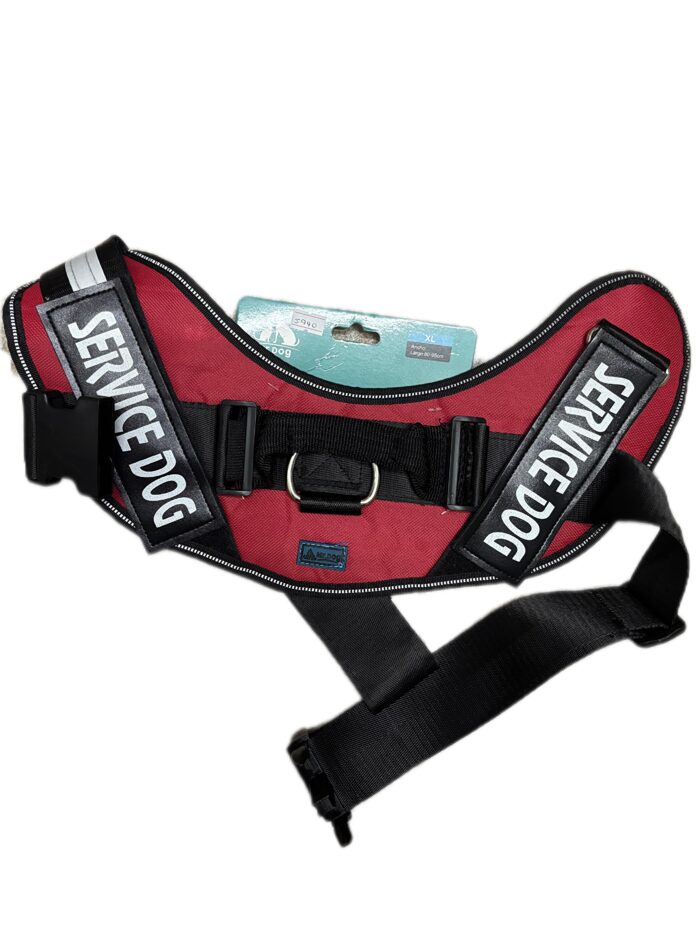 Arnés equipado para perro