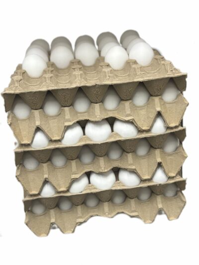 Huevos Huevos blancos