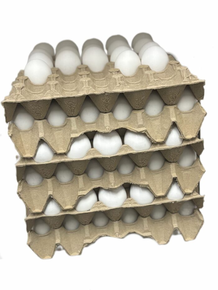 Huevos Huevos blancos