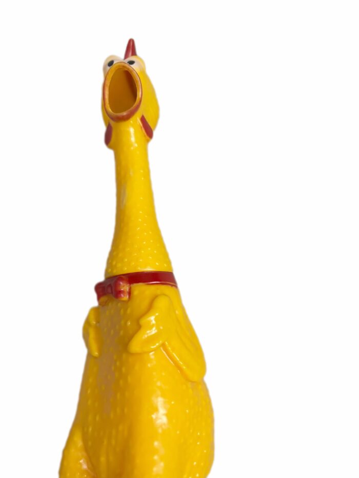 Juguete de pollo chillón para perros